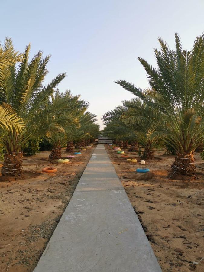 Almazham Camp Resort อาลูลา ภายนอก รูปภาพ