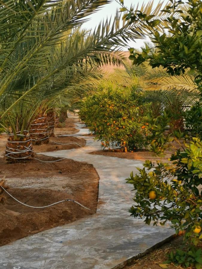 Almazham Camp Resort อาลูลา ภายนอก รูปภาพ