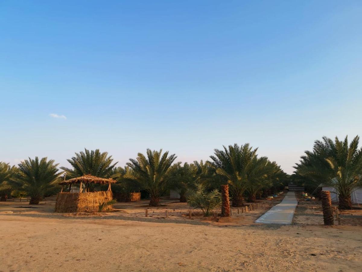 Almazham Camp Resort อาลูลา ภายนอก รูปภาพ