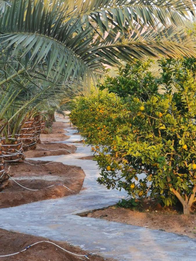 Almazham Camp Resort อาลูลา ภายนอก รูปภาพ